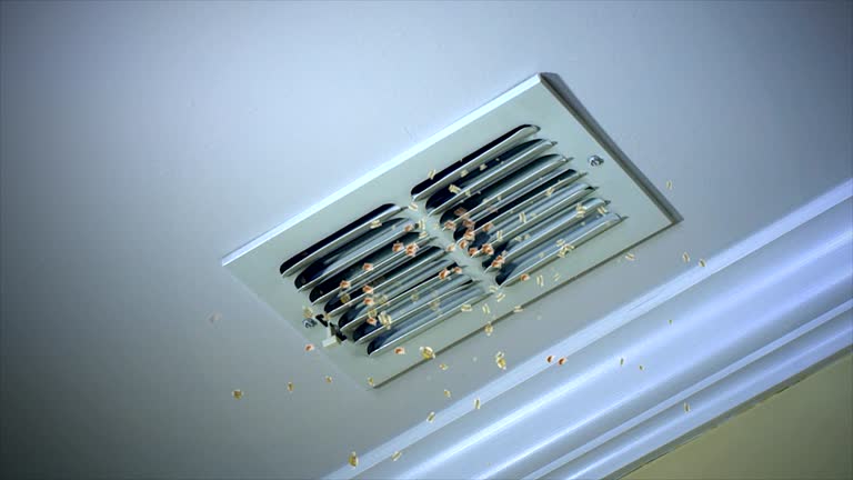 Best Duct Cleaning Specialists  in Boulder Hl, IL
